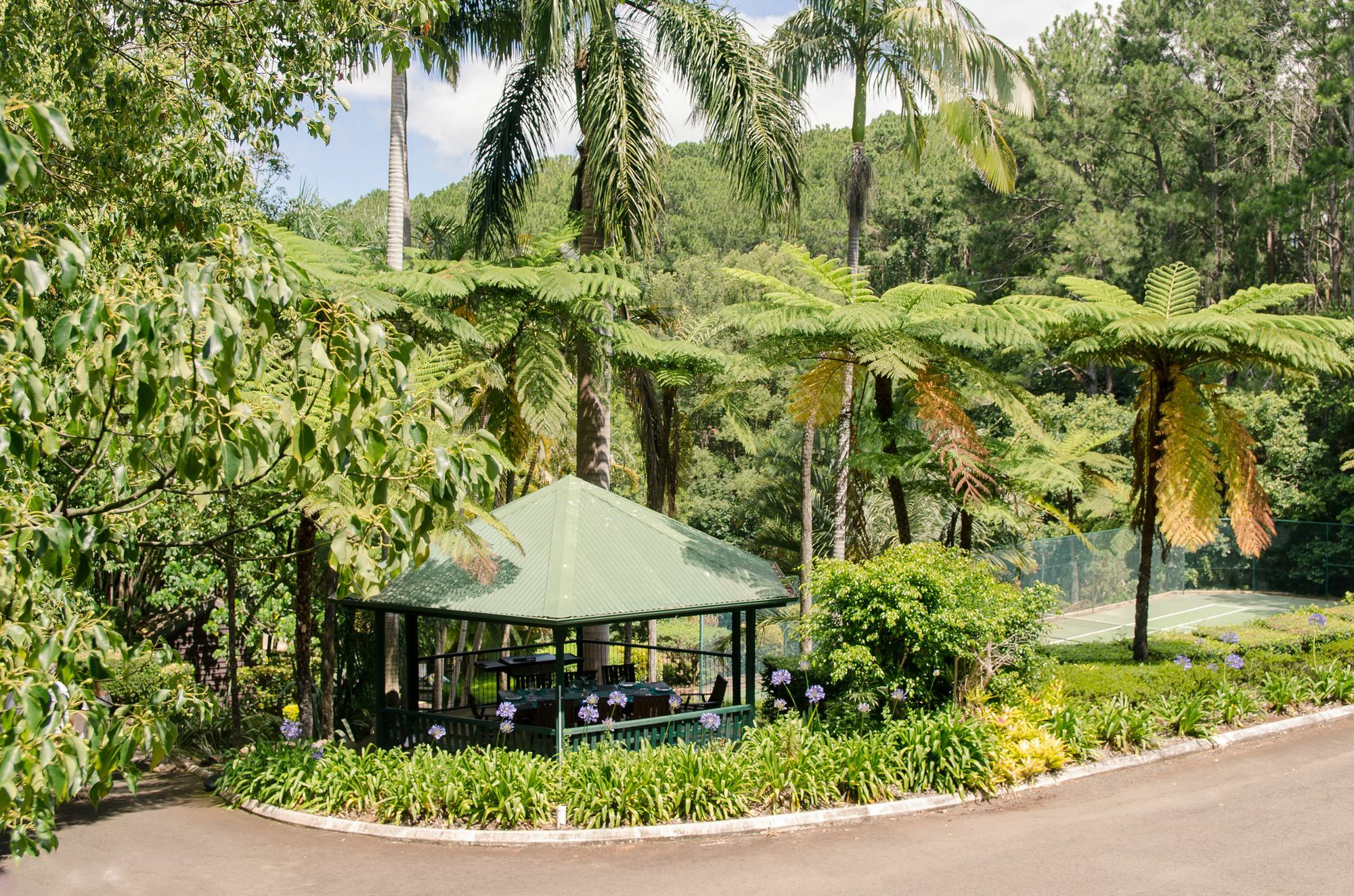 Montville Mountain Inn Luaran gambar