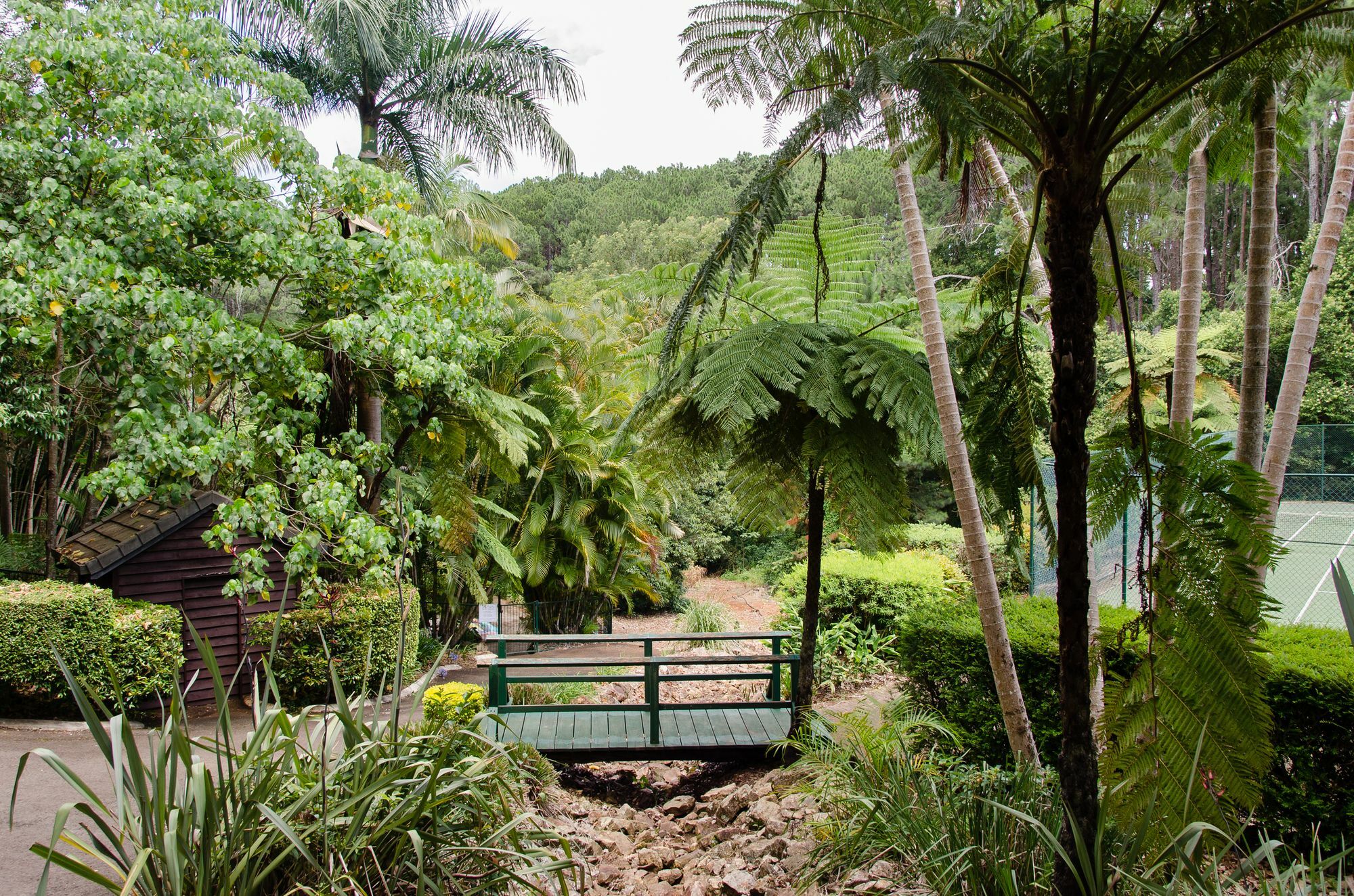 Montville Mountain Inn Luaran gambar